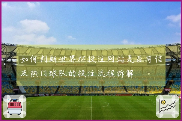 如何判断世界杯投注网站是否可信及热门球队的投注流程拆解