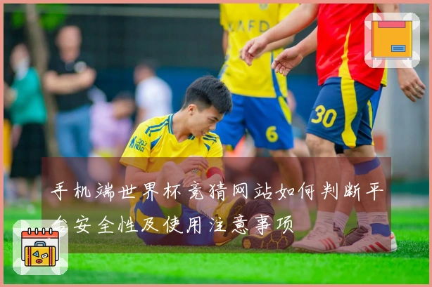 手机端世界杯竞猜网站如何判断平台安全性及使用注意事项