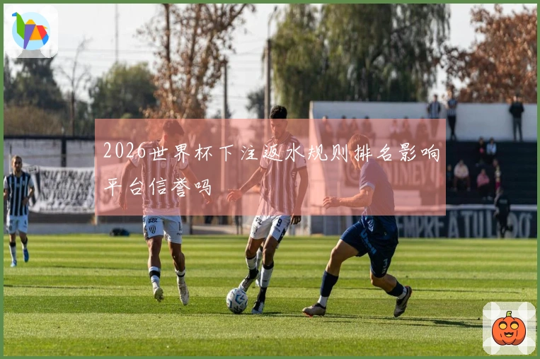2026世界杯下注返水规则排名影响平台信誉吗