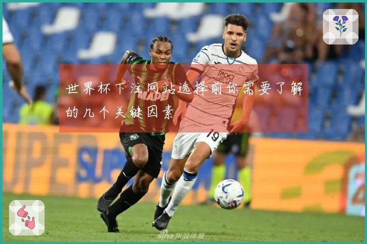 世界杯下注网站选择前你需要了解的几个关键因素