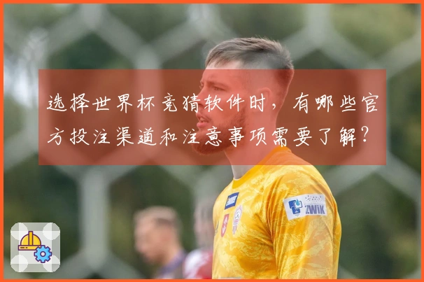 选择世界杯竞猜软件时，有哪些官方投注渠道和注意事项需要了解？