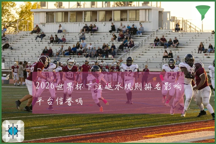 2026世界杯下注返水规则排名影响平台信誉吗