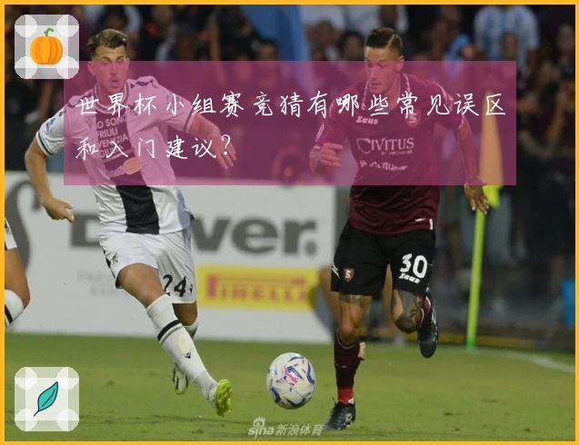 世界杯小组赛竞猜有哪些常见误区和入门建议？